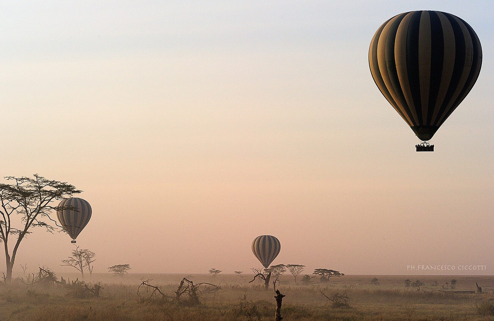 Tanzanya baloon